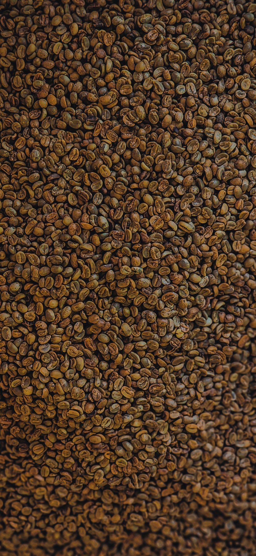 Coffee roasting detail at Wodgal Estate